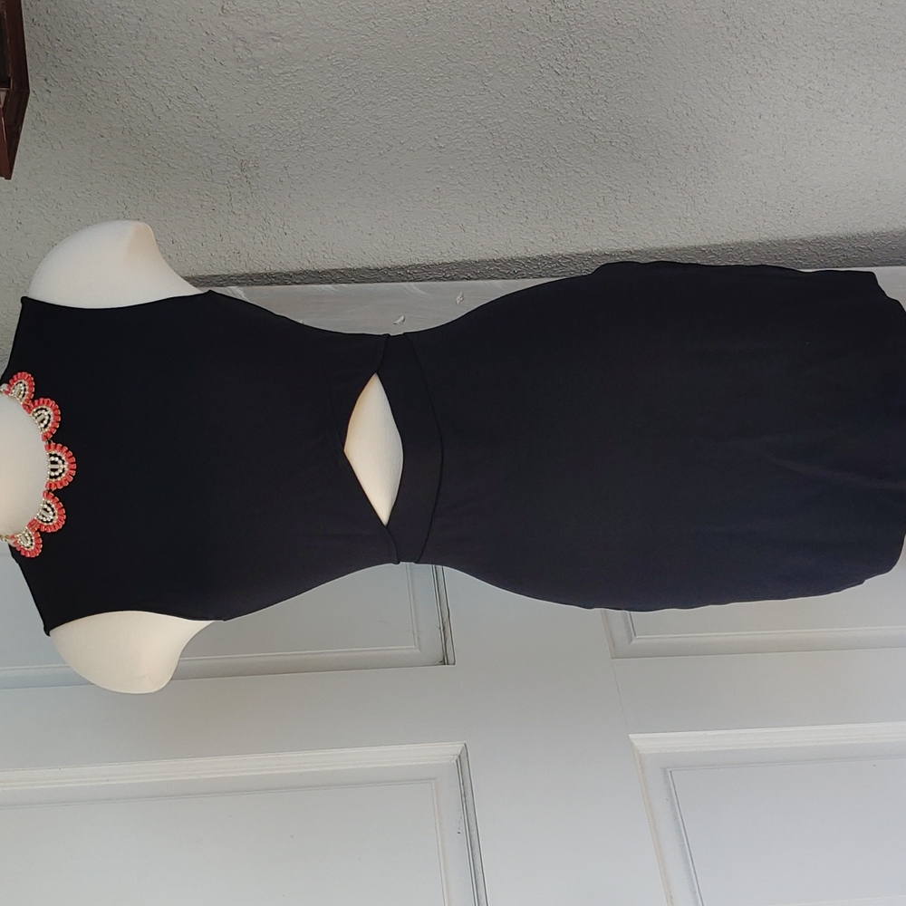 EXPRESS dress